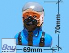 Blackhorse Pilot P43