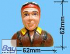 Blackhorse Pilot P73