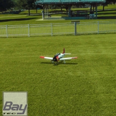 RealFlight Evolution RC Flight Simulator Software Only