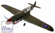 Bay-Tec Seagull P-40 Warhawk Shark 2032mm ARF mit Elektrischem EZFW