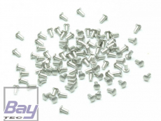 Alunieten Scale 2 x 1mm (VE=100St.)