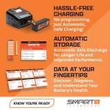 Spektrum 14.8V 3200mAh 4S 30C Smart LiPo Battery: IC3