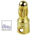 Goldkontakt Stecker kurz, 3,5mm