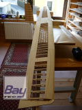Eleganz Nurflgler mit 3,1m Spannweite CNC Holzbausatz