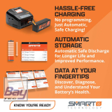 Spektrum 11.1V 2200mAh 3S 30C Smart LiPo Battery: IC3